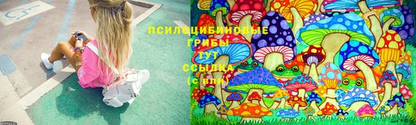2c-b Аркадак