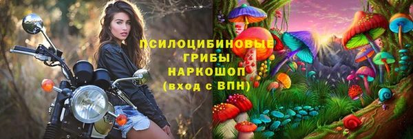 мяу мяу мука Армянск