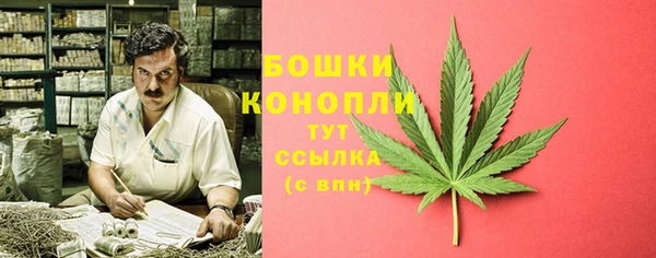 спиды Пестово